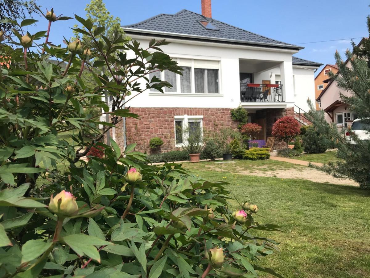 Levendula Apartmanhaz Badacsonytomaj Eksteriør billede
